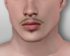 Moustache D1