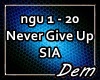 !D! Never Give Up SIA