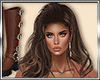 B* Go Shopping BUNDLE