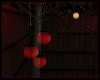 Asian ON Lanterns