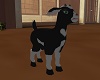 [MS] Baby Goat Anim V1