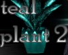 teal plant 2