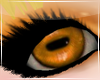 Naruto Sage Eyes