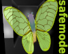 Cicada Wings Green