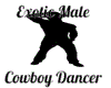 Exotic Cowboy Dancer