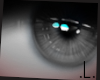 .L. Side Eye Grey Unisex