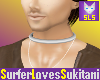 (SLS) Steel Roll Collar