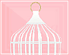 👑 Princess birdcage