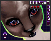狗 - Andro fur