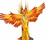 phoenix wings any
