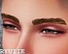 Realistic Brown Eyebrows