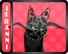 [I]Blair Witch Cat BKRD