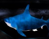 dj light blue shark att;