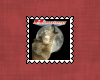 Wolf Stamp 4