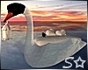 S* Romantic Swan Float