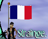 France FLAG