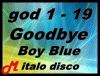 Goodbye