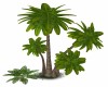 Tropical Palms # 2
