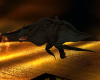 dragon black animated