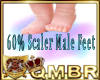 QMBR M 60% Foot Scaler