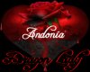 Andonia
