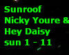 Sunroof