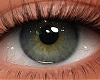 ✔ Eye