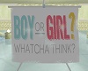 Girl or Boy? Banner