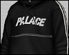 × P a l a c e.