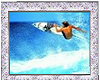 Surf Photo 2