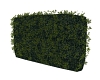 Green Hedge /Wall