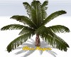ULT ISLAND PALM TREE