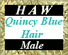 Quincy Blue Hair - M