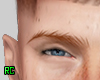 r. Dean  Eyebrow