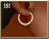 !S! Sm Gold Hoops 01