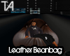Leather Beanbag