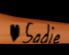 {RR}Sadie right arm