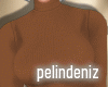 [P] Fall brown outfit