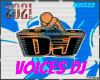 🎧 VOICES DJ 2021