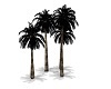 1001 Night Palms