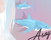P| Shark - Blue Animated