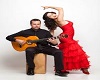 Flamenco Pic 4