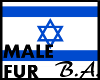 [BA] Israel M