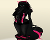 Black Furry Cat