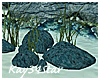 Under the Sea Rocks
