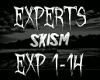 (sins) Skism - Experts 