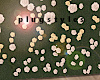 Spring Flower Wall