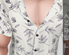 ᴀ| Tucked Shirt 3