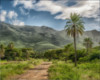 Dirt road backdrop