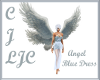 LJC AngelBlue/WhiteDress